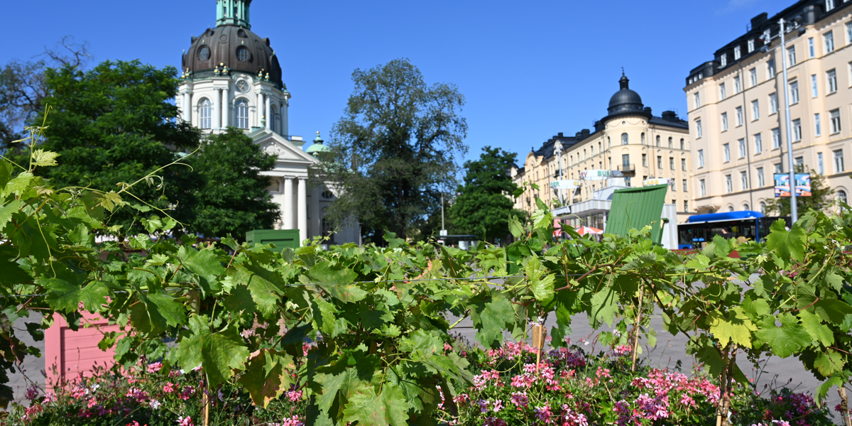 Stockholm Finalist I Internationell Klimatutmaning - Stockholms Stad