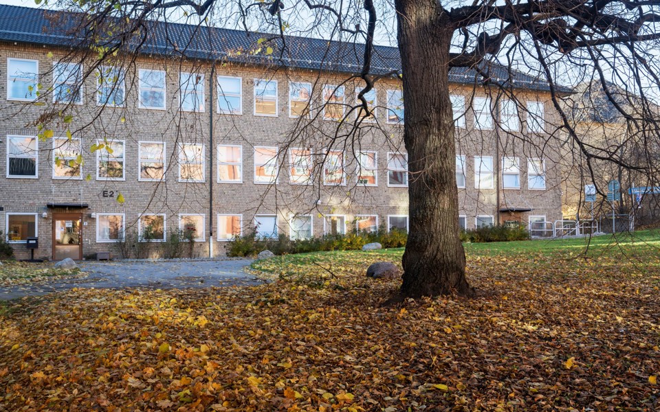 Thorildplans gymnasiums skolbyggnad.