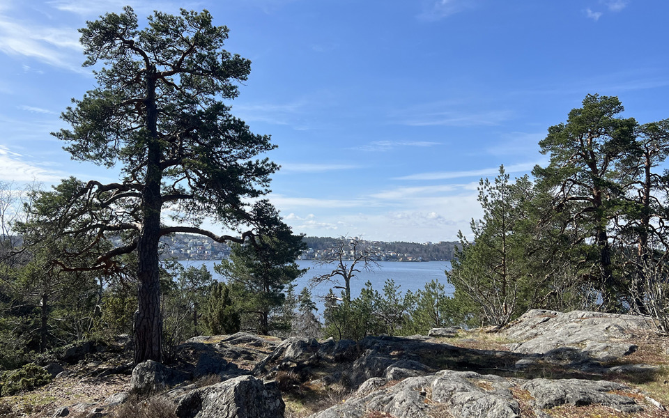 Stenklippor med träd som delvis skymmer utsikten över vattnet.