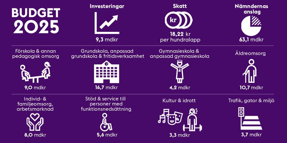 Budget 2025, investeringar: 9,3 miljarder kronor, skatt: 18,22 kronor per hundralapp, nämndernas anslag: 3,1 miljarder kronor, förskola och annan pedagogisk omsorg: 9,0 miljarder kronor, grunskola, anpassad grundskola och fritidsverksamhet: 16,7 miljarder kronor, gymnasieskola och anpassad gymnasieskola: 4,2 miljarder kronor, äldreomsorg: 10,7 miljarder kronor, individ- och familjeomsorg, arbetsmarknad: 8 miljarder kronor, stöd och service till personer med funktionsnedsättning: 5,6 miljarder kronor, kultur och idrott: 3,3 miljarder kronor, trafik, gator och miljö: 3,7 miljarder kronor. 